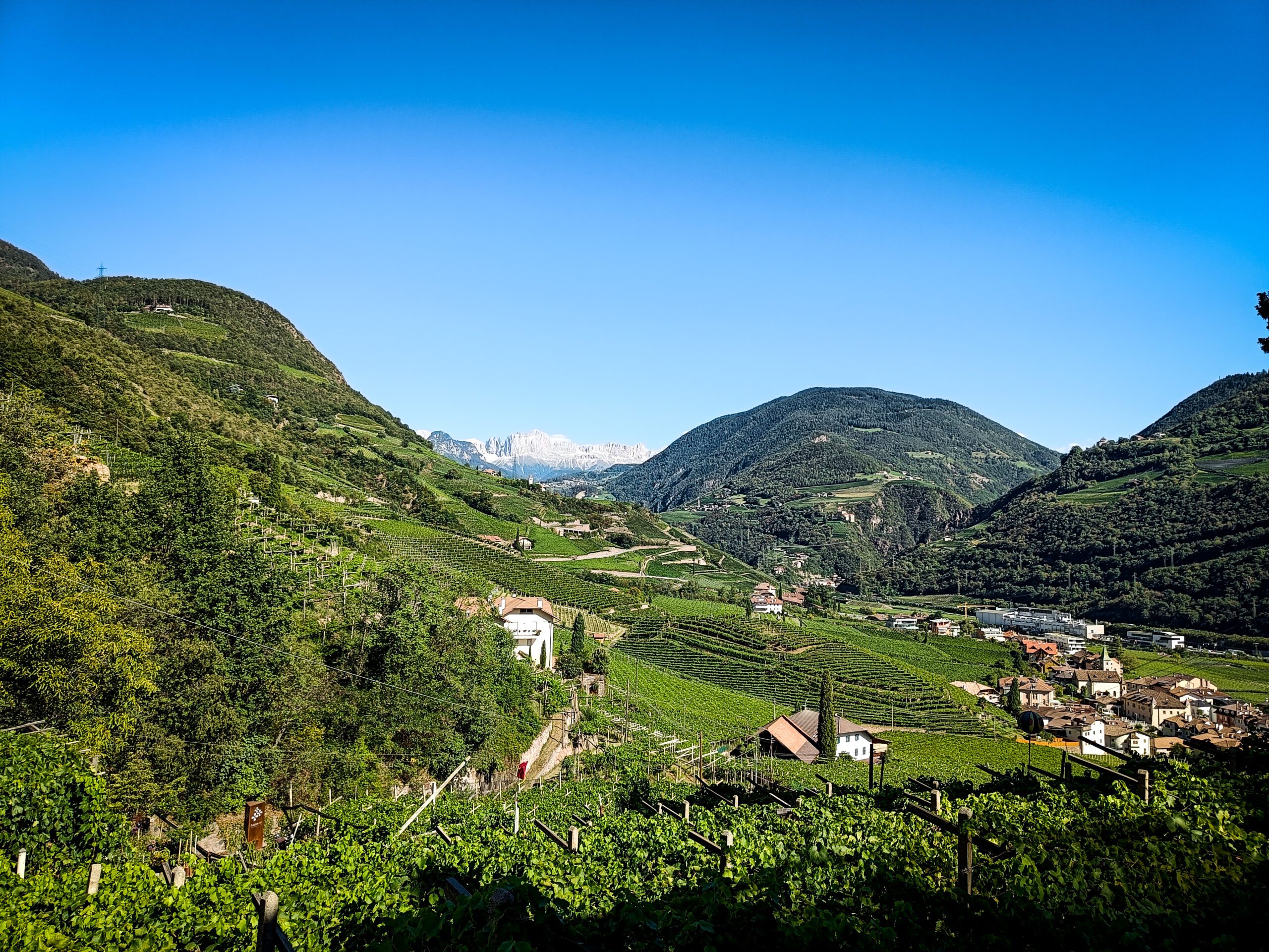 Looking over the vineyards in Bolzano