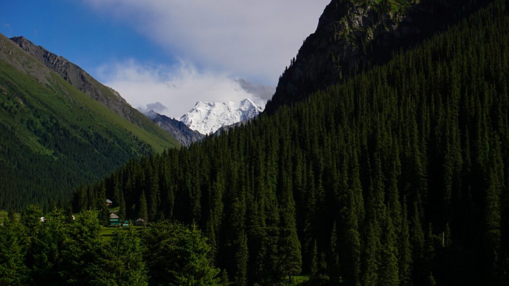 Beautiful view overlooking peak Palatka in Altyn Arashan