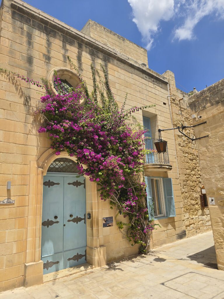 Walking around in the Mdina