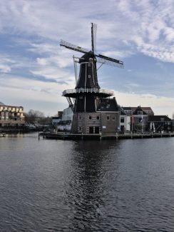 The famous windmill in Haarlem