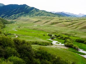 Long green fields of grass in Kazakhstan